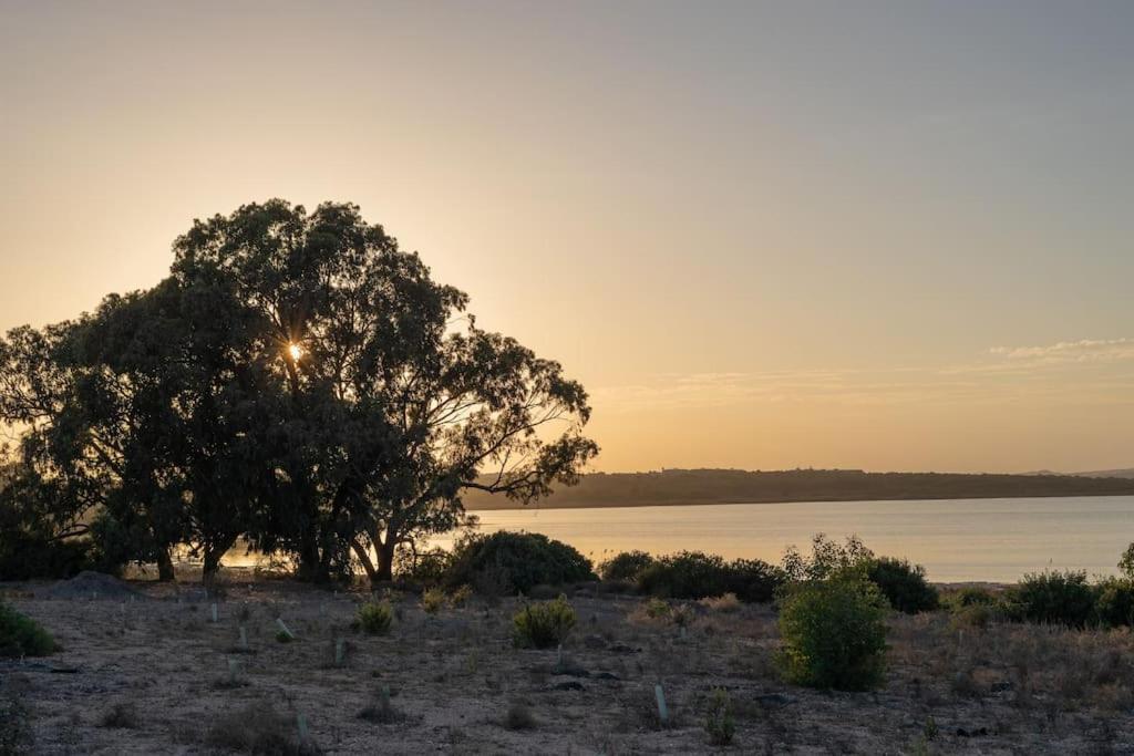 Appartement La Mata Eksteriør bilde